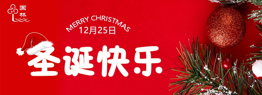 圣誕節(jié)收不到禮物不如和國林開水器一起飲一杯健康水